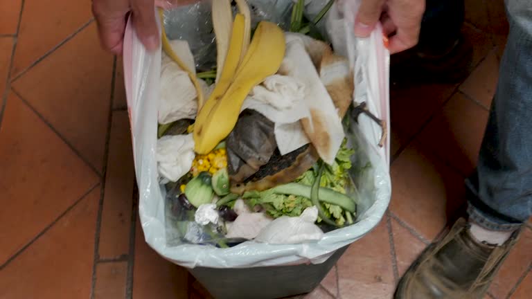  York, PA Junk Removal Services Pros